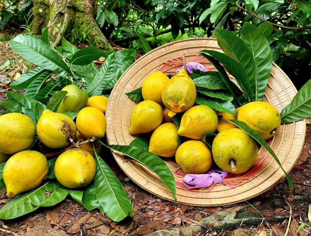 Câu chuyện khởi nghiệp