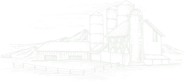 Đánh giá của khách hàng