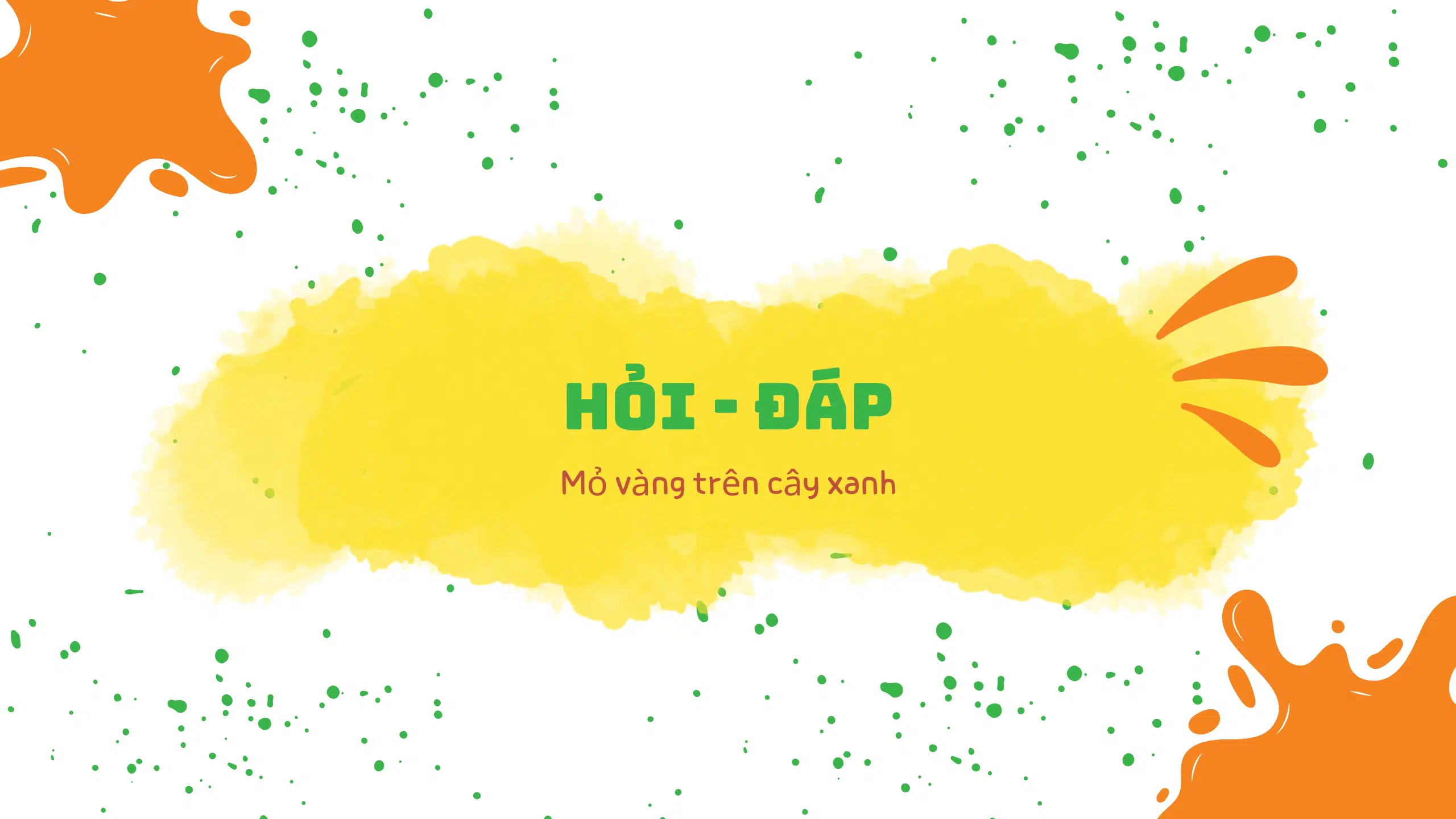 Hỏi - Đáp