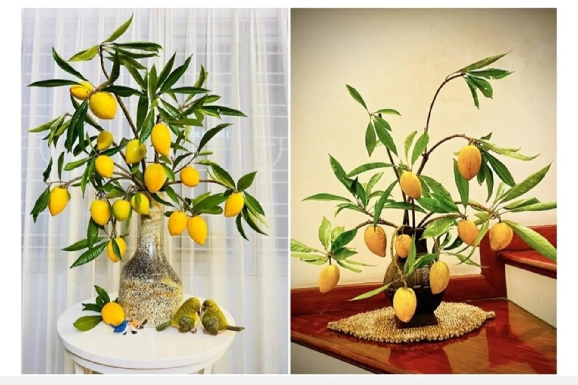 BÌNH HOA TRÁI LÊKIMA TRONG VĂN PHÒNG HIỆN ĐẠI