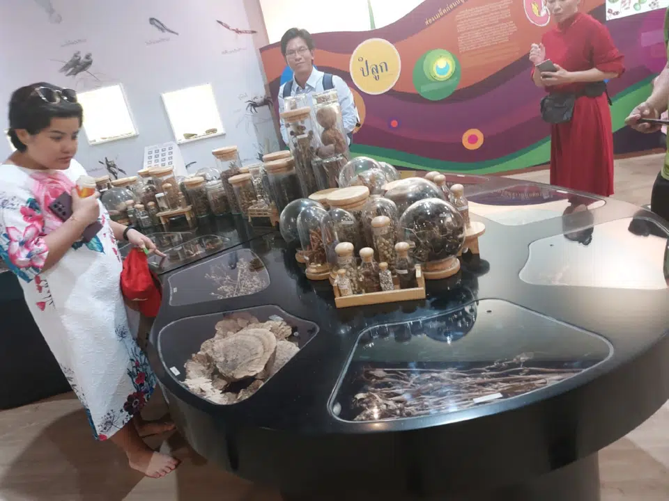 Dika Happy học tập tại Thái Lan