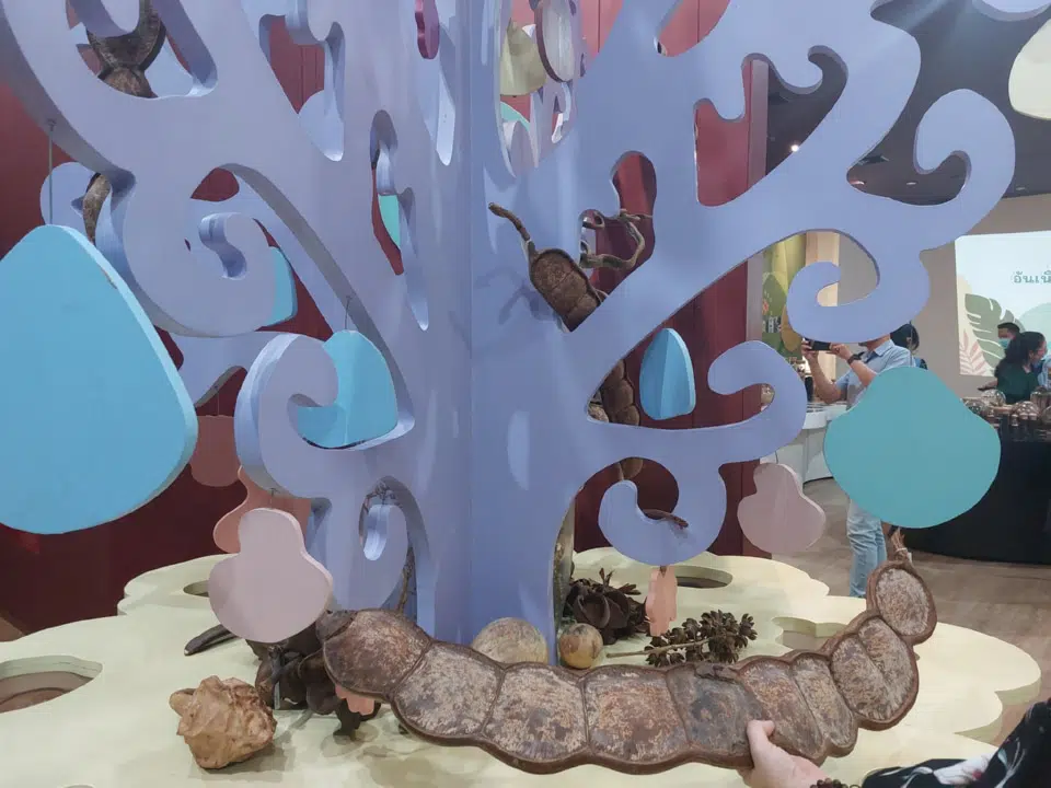 Dika Happy học tập tại Thái Lan