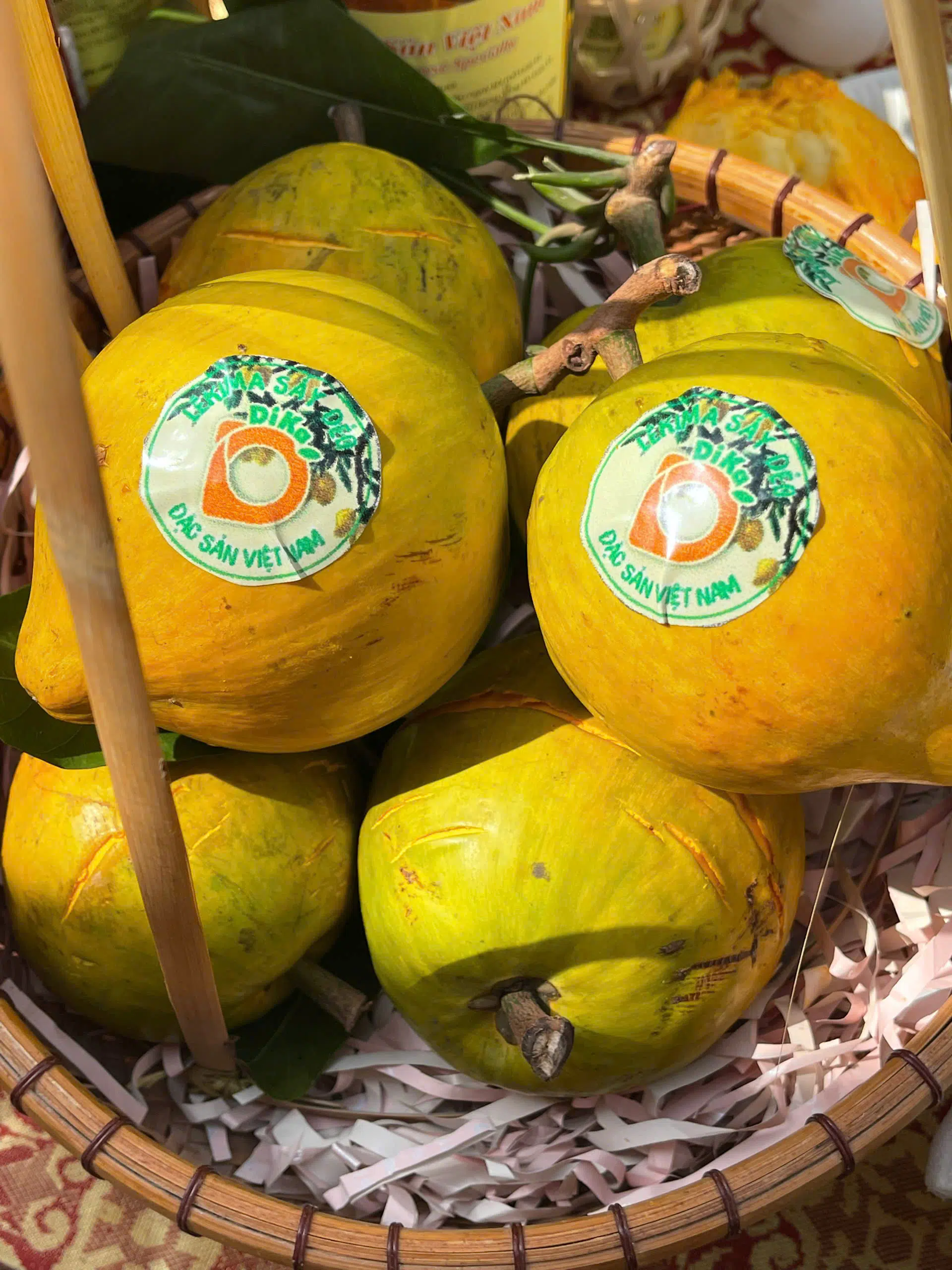 MARKETING LAUNCHAD 2025