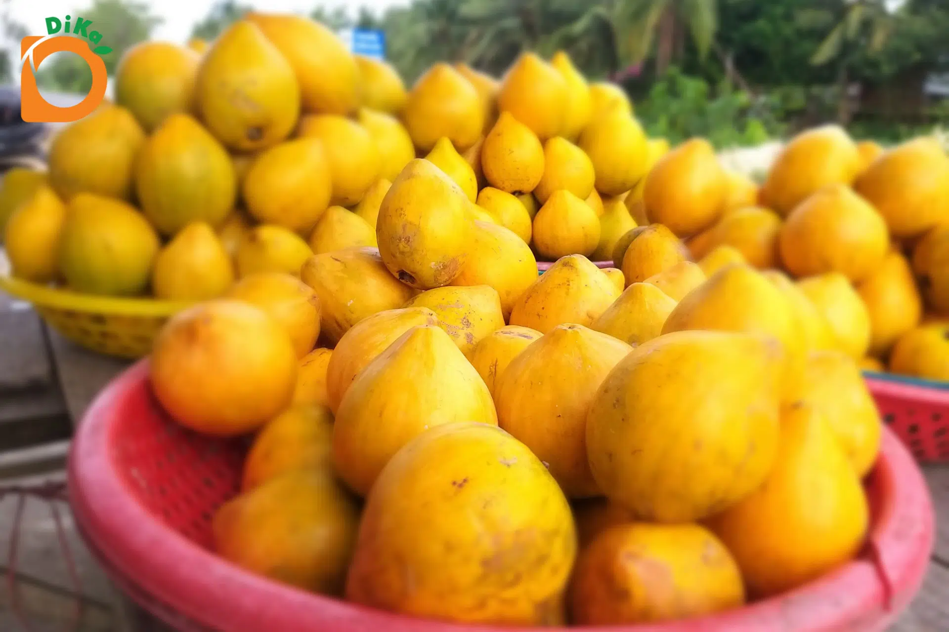 Để nông dân vừa sản xuất vừa bán hàng