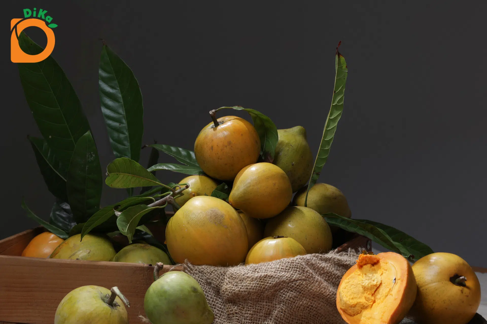 Giới trẻ ĐBSCL đóng góp gì cho phát triển đất nước?