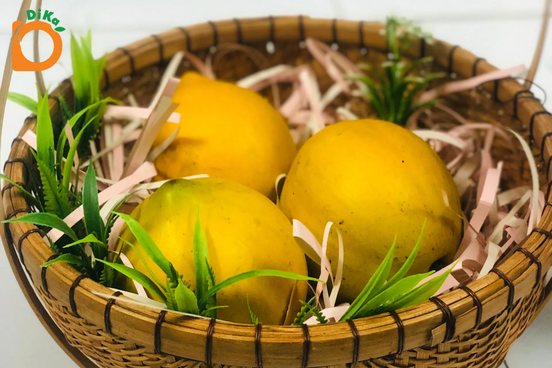 Kí ức tuổi thơ