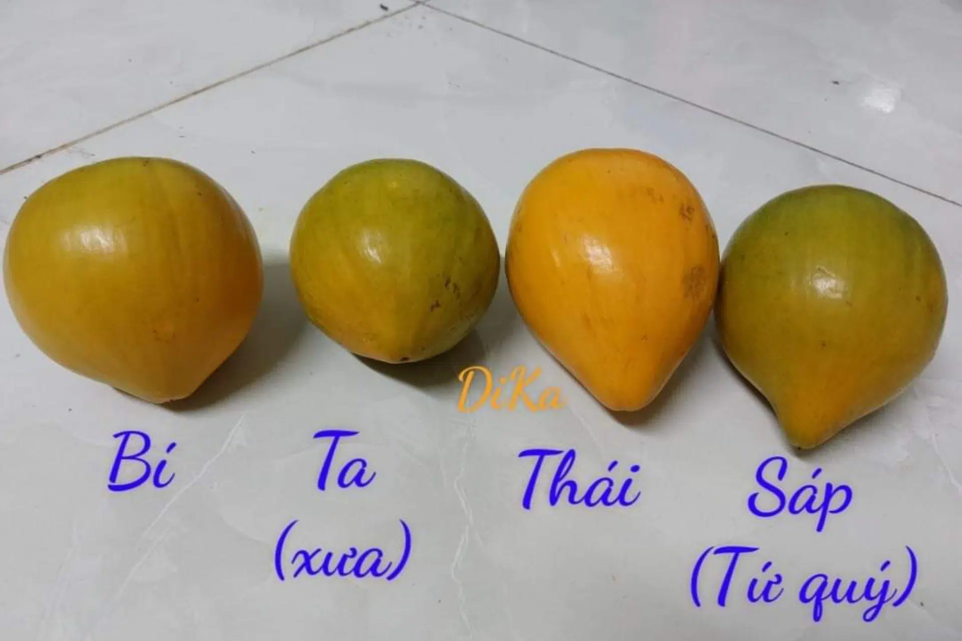 Nguồn gốc và phân bố cây Lêkima