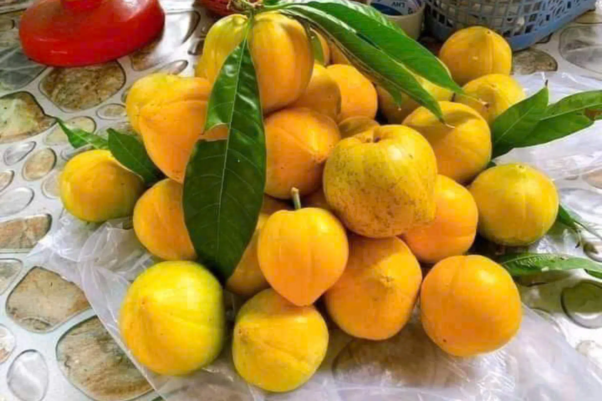 Hình thái và cấu trúc của quả Lêkima