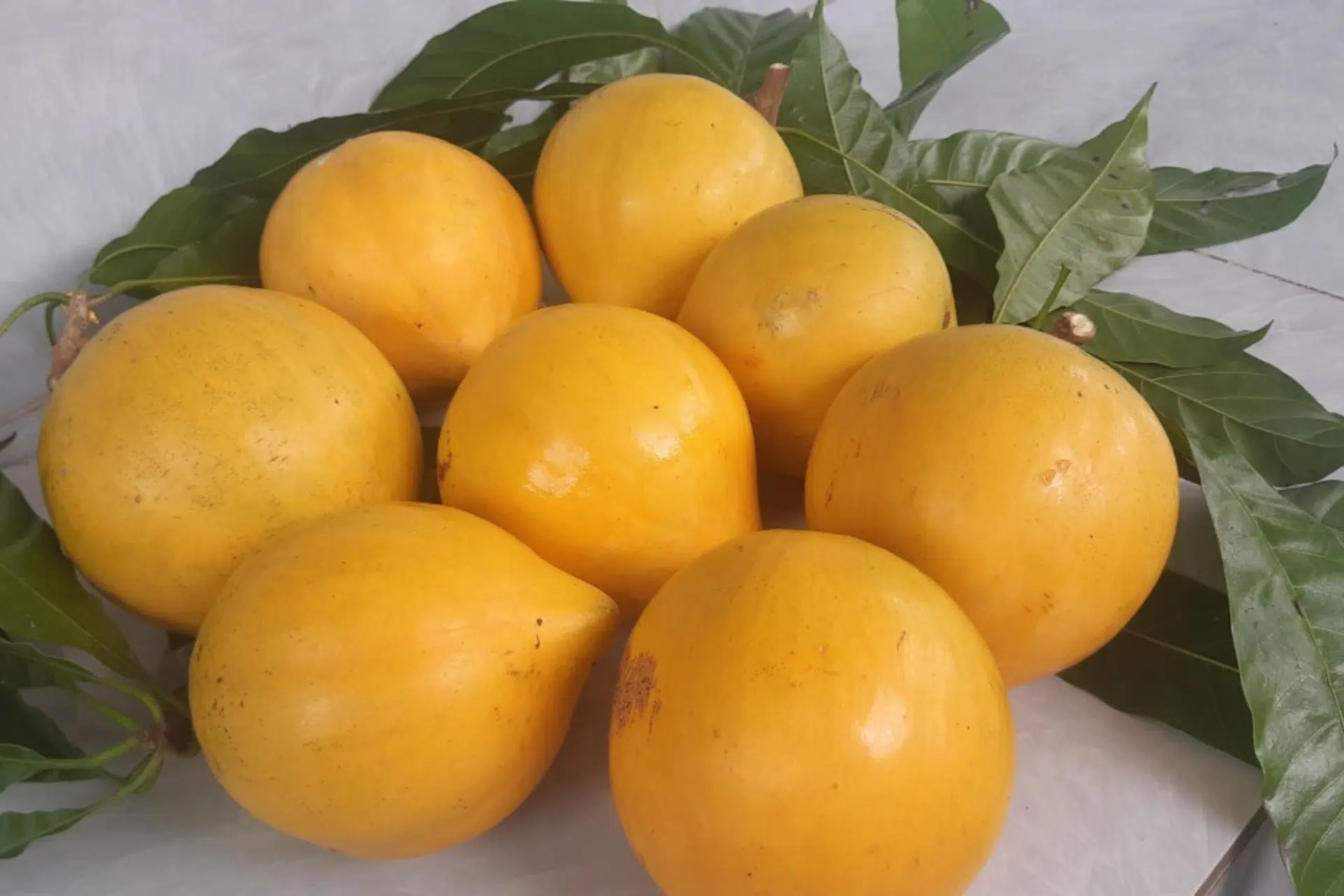 Giá trị, thành phần hóa học của trái Lêkima