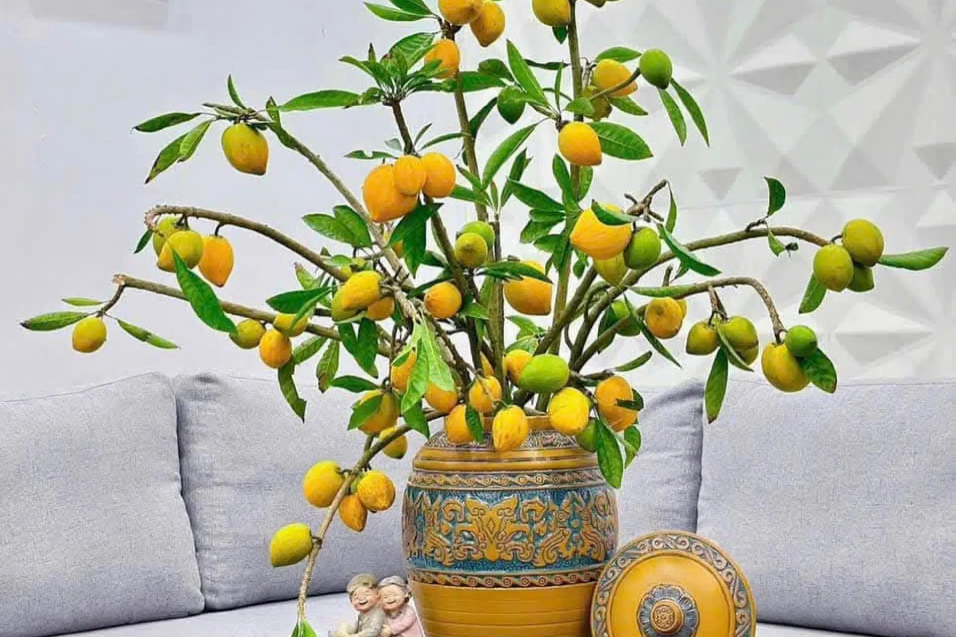 BÌNH HOA LÊKIMA Ở… QUÁN CÀ PHÊ SANG CHẢNH, TẠI SAO KHÔNG?