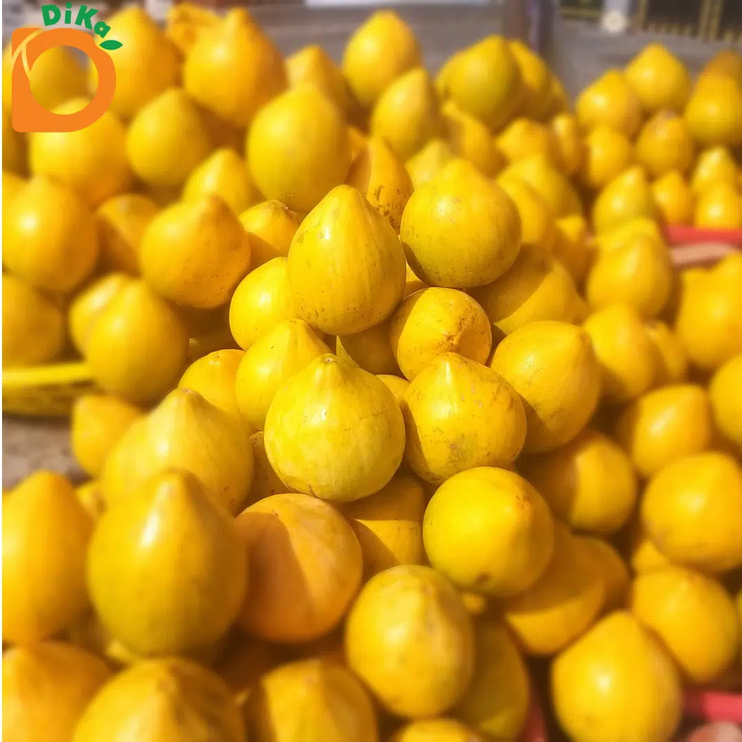 Quả Lêkima tươi